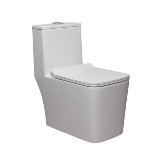 Designer One-Piece Toilet